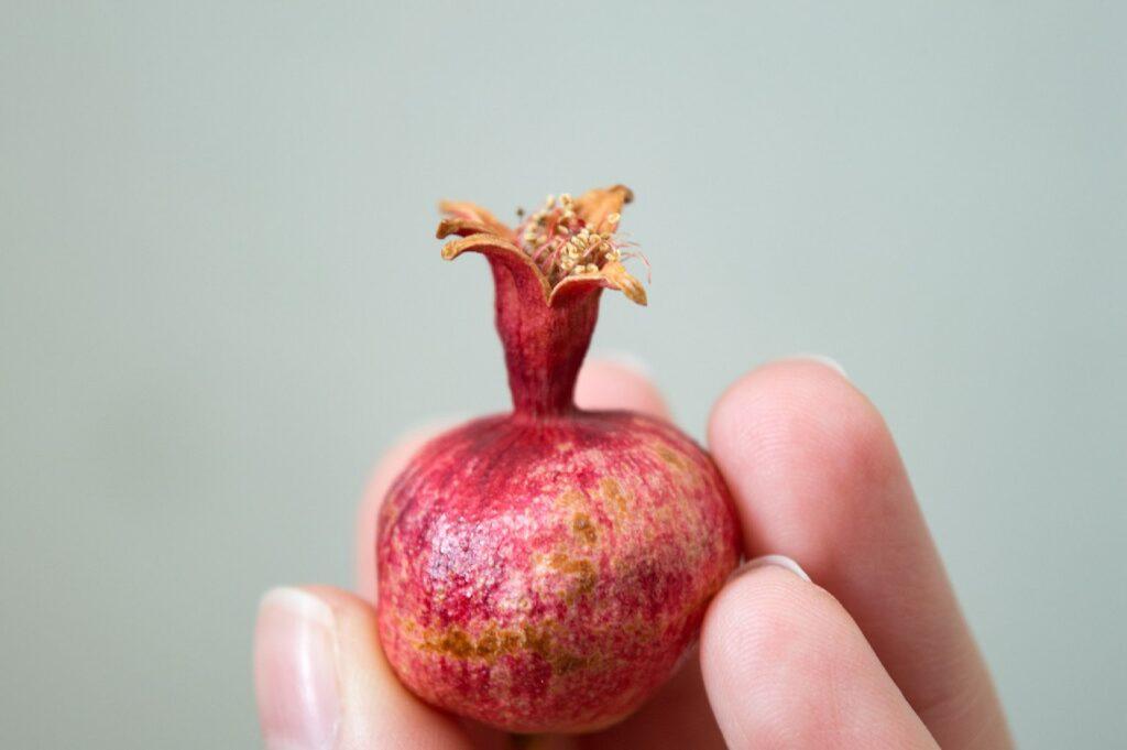 Законы и обычаи Рош а-Шана для женщин