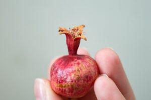 Законы и обычаи Рош а-Шана для женщин